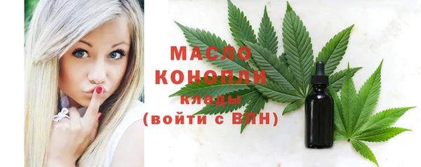 стафф Верхний Тагил