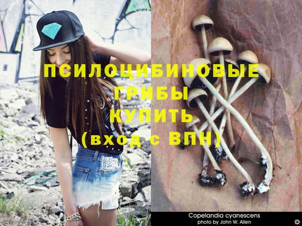 кокс Саяногорск