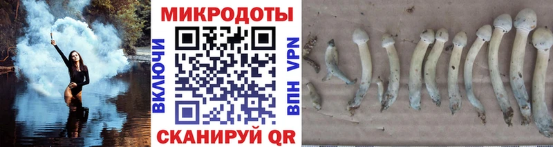 KRAKEN рабочий сайт  Орехово-Зуево  Псилоцибиновые грибы Magic Shrooms 